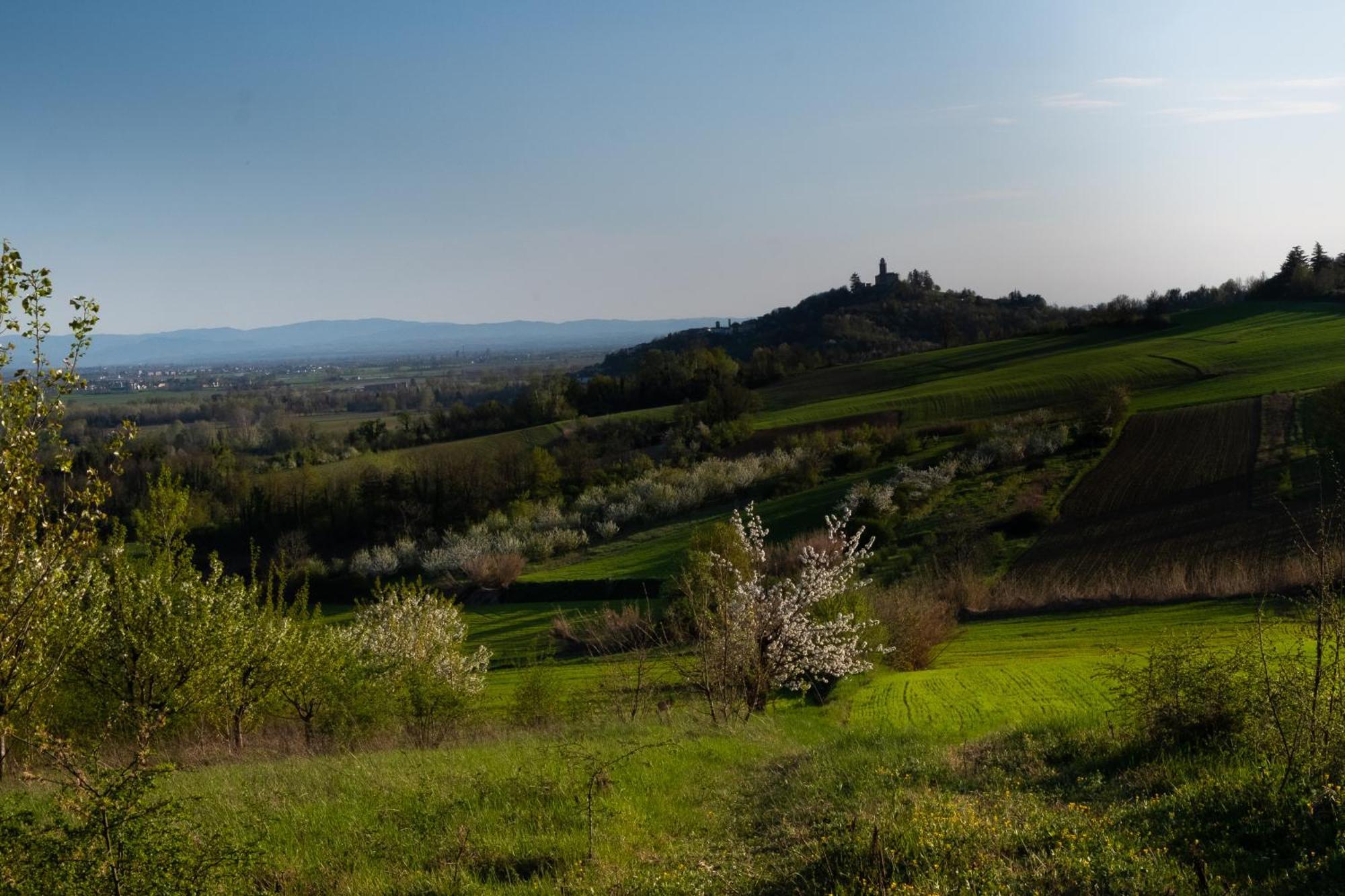Monferrato Inn Rivarone Экстерьер фото